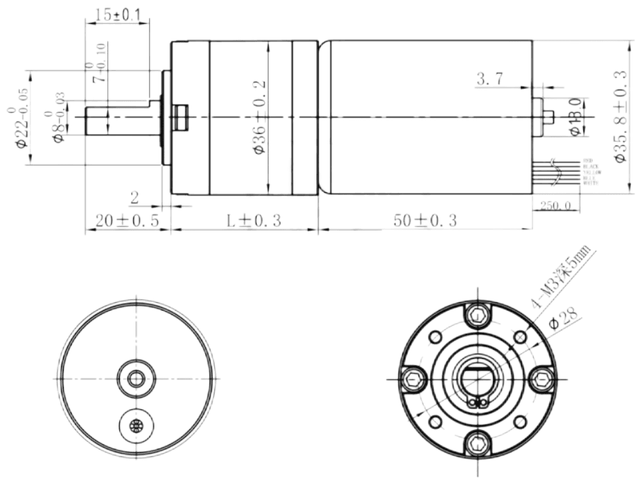 36mm Geared Motor 150RPM