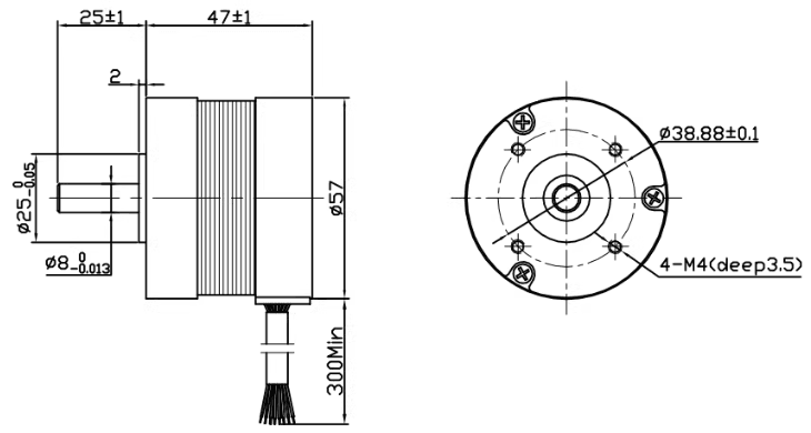 57mm Short BLDC Motor