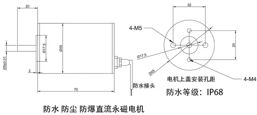 45mm DC Motor IP68