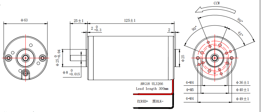 High Power DC Motor 125W